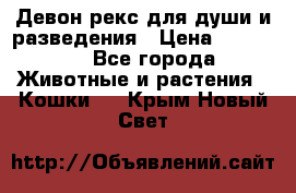 Девон рекс для души и разведения › Цена ­ 20 000 - Все города Животные и растения » Кошки   . Крым,Новый Свет